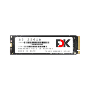 SSD-FDK-B5-SEREIS-256GB-M2-2280-PCIe3-NVMe