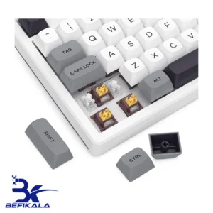 کیبورد بی سیم مکانیکال گیمینگ ردراگون REDRAGON OTIIM PRO K729 WGB RGB